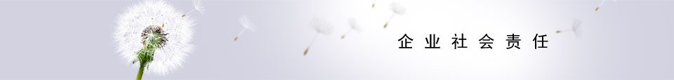 企業(yè)社會責(zé)任